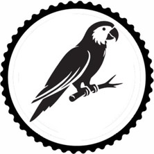 UAStudio Kuş Tasarım 3,model Sticker 10 x 10 cm