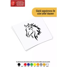 UAStudio At Kafası - Araç, Oto, Laptop, Duvar Uyumlu Sticker 30*39 cm