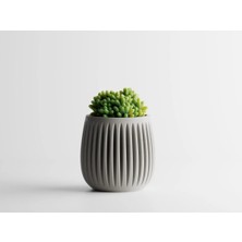 Columna Dekoratif Saksı - Bej Çizgili Modern Bitki Saksısı 6 cm