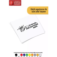 UAStudio Arabada Princess Var - Araç, Oto, Laptop, Duvar Uyumlu Sticker 30*15 cm