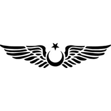 UAStudio Kanatlı Ay Yıldız Sticker Oto Motor Laptop Duvar Folyo Sticker 20X4 cm