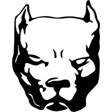 UAStudio BYR002 Pitbullkafa Sticker Oto Motor Laptop Duvar Folyo Sticker 25X32 cm [efsngrck]