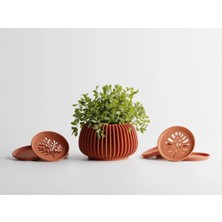 Verdanova Dekoratif Saksı - Kızıl Dikey Çizgili Modern Bitki Saksısı 6 cm