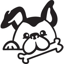 UAStudio Köpek ve Kemik Oto Motor Laptop Duvar Folyo Sticker 60X60 cm