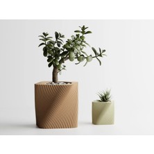 Corda Dekoratif Saksı - Kahverengi Yatay Çizgili Modern Bitki Saksısı 6 cm