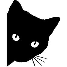 UAStudio Kedi Sticker Oto Motor Laptop Duvar Folyo Sticker 25X32 cm