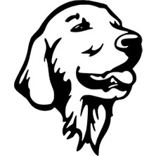 UAStudio Goldenretriever Sticker Oto Motor Laptop Duvar Folyo Sticker 40X48 cm