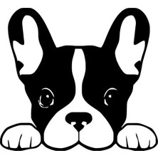 UAStudio Camdan Bakan Köpek Sticker Oto Motor Laptop Duvar Folyo Sticker 25X22 cm