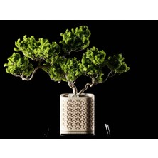 Seraphis Dekoratif Saksı - Bej Üçgen Işlemeli Modern Bitki Saksısı 6 cm