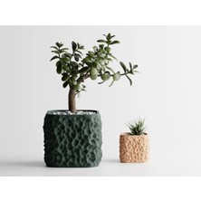 Terraforma Dekoratif Saksı - Haki Modern Bitki Saksısı 6 cm