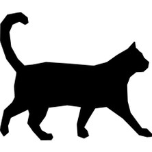 UAStudio Geometrik Kedi 70X56 cm