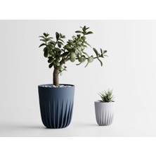 Aurea Dekoratif Saksı - Lacivert Dikey Çizgili Bitki Saksısı 7 cm