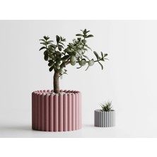 Rounded Dekoratif Saksı - Pembe Yuvarlak Modern Bitki Saksısı 7,5 cm