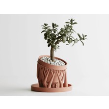 Organic Planter Dekoratif Saksı - Kök Detaylı Modern Bitki Saksısı 12 cm