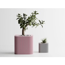 Linea Dekoratif Saksı - Pudra Dikey Çizgili Bitki Saksısı 6 cm