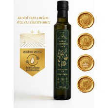 Zafir Natural Soğuk Sıkım Kabak Çekirdeği Yağı 250ml - Yüksek Skualen ve Fitosterol İçerikli