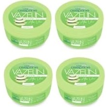Hd Group Cire Aseptine Cıre Aseptıne Cire Aceptine Vazelin Aloe 150 ml x 4 Adet