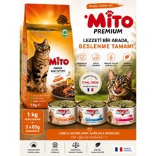 Mito Kedi Maması 1 kg + 3 Adet Yaş Mama 85 Gr. Lık