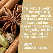 Hd Group Hurraw Chai Spice Lip Balm - Nemlendirici Dudak Kremi 4.8g