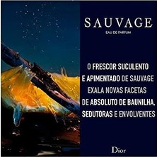 Hd Group Christian Dior Sauvage Edp 100 ml Erkek Parfüm 1 Paket (1 x 100 Ml)