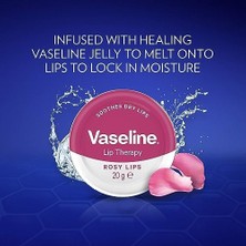 Hd Group Lip Therapy Rose Dudak Bakım Kremi 20 G