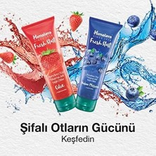 Hd Group Himalaya Since 1930 Herbals Fresh Start Arındırıcı Yüz Yıkama Jeli, Çilek, Bektaşi Üzümü, Yağ Temizleyici, Yağlı Ciltler, 100 ml