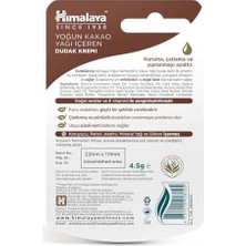 Hd Group Himalaya Yoğun Nemlendirici Dudak Kremi, Lip Balm, Kakao Yağı, Hint Yağı, BESLEYICI,%100 Doğal Renk, Silikon Içermez, 4,5 gr