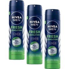 Hd Group Men Erkek Sprey Deodorant Fresh Sensation 150 Ml, Ter ve Ter Kokusuna Karşı 72 Saat Anti-Perspirant Koruma, Ferah Koku (3 Paketi)
