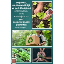 Hd Group Elektriklenen Saçlar ve Düşen Kaşlar Için Iz Bırakmayan Keratinli Arganlı Saç Kaş Waxı - 15ML