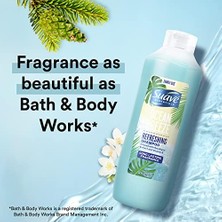 Hd Group Suave Ocean Breeze Şampuan 887ML