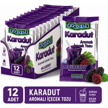 Poli Toz Içecek Karadut x 12 Adet