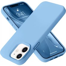 Asnazz Newface Apple iPhone 12 Kılıf Nano Içi Kadife Silikon - Mavi