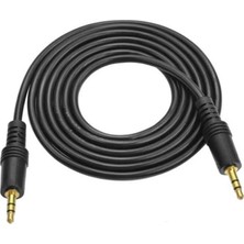 Renas Store 3,5mm Stereo Erk-Erk 10M Gold Jack