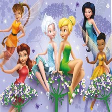 Renas Store Üreticiniz 714 Fairies Puzzle 100