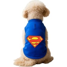Die Grup Saks Mavi Renkli Kedi Kıyafeti, Superman Atlet, Orta Boy