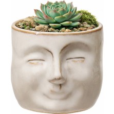 Warm Design Yüz Figürlü Mini Saksı Seramik Bej Krem Dekoratif Iskandinav Masa Üstü Sukulent Saksısı 8 cm