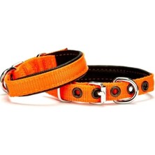 Softlu Köpek Boyun Tasması 1,5 cm x 35 cm Turuncu