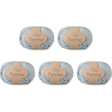 Fibra Natura Papyrus 229-19 (5X50GR)