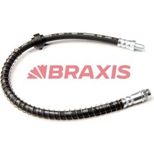Braxis Arka Fren Hortumu Xantıa 93 03