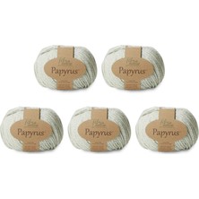 Fibra Natura Papyrus 229-17 (5X50GR)