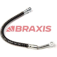 Braxis On Fren Hortumu H100 04