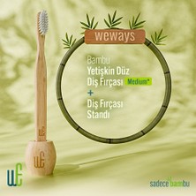 Weways Bambu Diş Fırçası ve Bambu Stant (Düz Sap-Medium Uç)