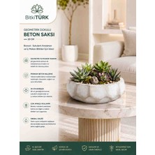 BitkiTÜRK 🌿 20 cm Geometrik Dokulu Beton Saksı | Bonsai Saksısı | Sukulent Aranjman Saksısı | Dekoratif Iç Mekan Saksısı