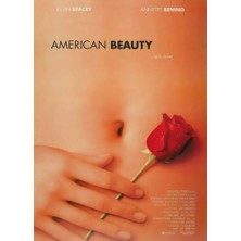 Arterior Wallpaper American Beauty 1999 Poster