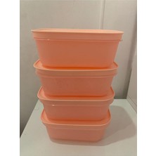 Alaska 450 ml 4 Lü Derin Dondurucu ve Buzdolabı Saklama Kabı