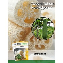 Adet Lif Kabağı Tohumu Kabak Tohumu