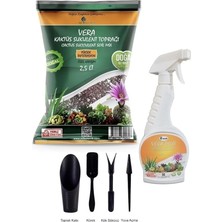 Botanik Kaktüs Sukulent 3 Lü Dikim Seti - Dikim Seti (4 Parça) - Toprak (2,5 Lt) - Besin (500 Ml)