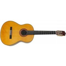 C70 Klasik Gitar (Taşıma Kılıfı Hediye)