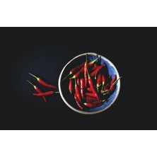 Adet Organic Thai Hot Chili Biber Tohumu