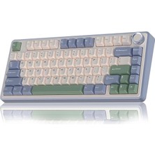 F75 Mekanik Rgb Tkl Gray Switch Kablosuz Makrolu Hot Swap Klavye Pastel